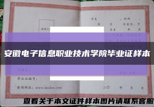 安徽电子信息职业技术学院毕业证样本缩略图