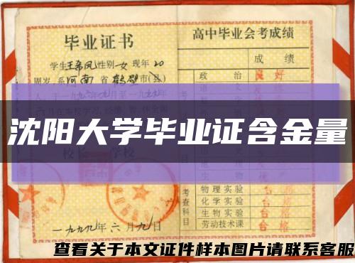 沈阳大学毕业证含金量缩略图