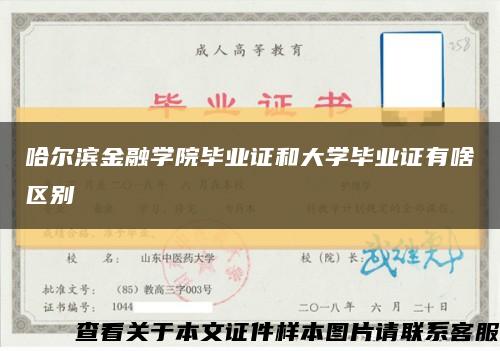 哈尔滨金融学院毕业证和大学毕业证有啥区别缩略图