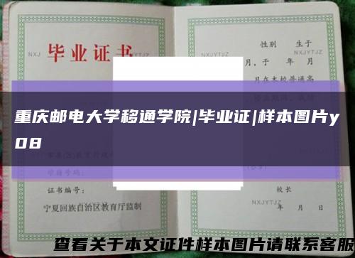 重庆邮电大学移通学院|毕业证|样本图片y08缩略图