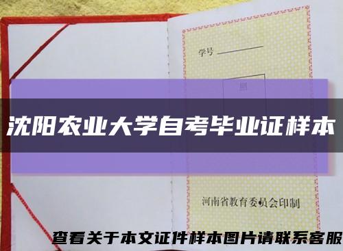 沈阳农业大学自考毕业证样本缩略图