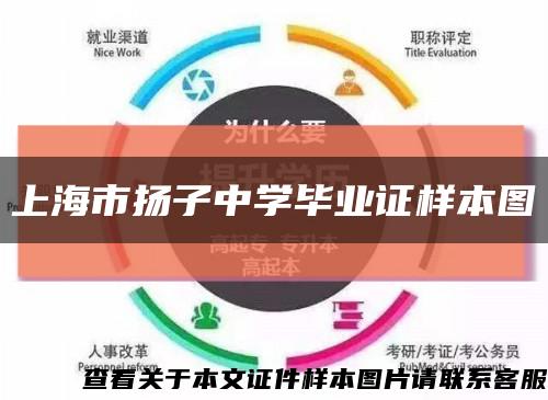 上海市扬子中学毕业证样本图缩略图