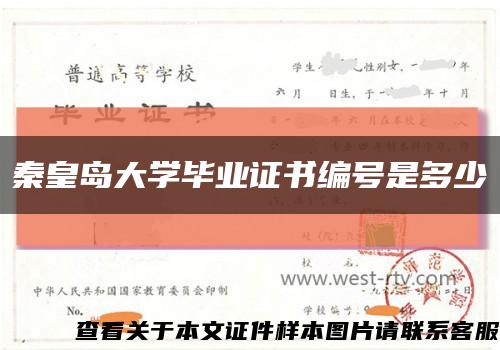 秦皇岛大学毕业证书编号是多少缩略图
