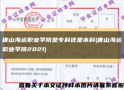 唐山海运职业学院是专科还是本科(唐山海运职业学院2021)缩略图