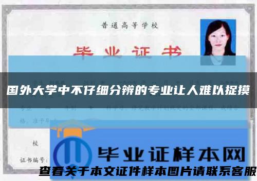 国外大学中不仔细分辨的专业让人难以捉摸缩略图