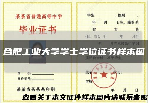 合肥工业大学学士学位证书样本图缩略图