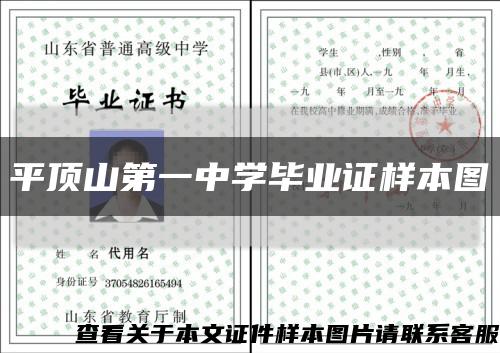 平顶山第一中学毕业证样本图缩略图