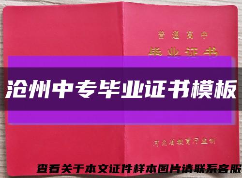 沧州中专毕业证书模板缩略图