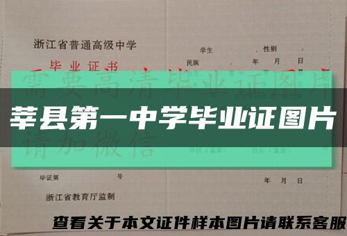 莘县第一中学毕业证图片缩略图
