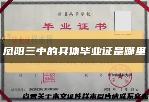 凤阳三中的具体毕业证是哪里缩略图