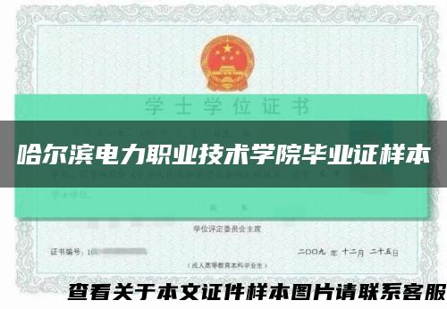 哈尔滨电力职业技术学院毕业证样本缩略图