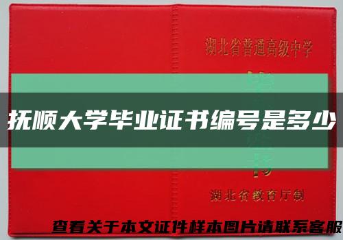 抚顺大学毕业证书编号是多少缩略图