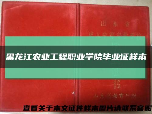 黑龙江农业工程职业学院毕业证样本缩略图