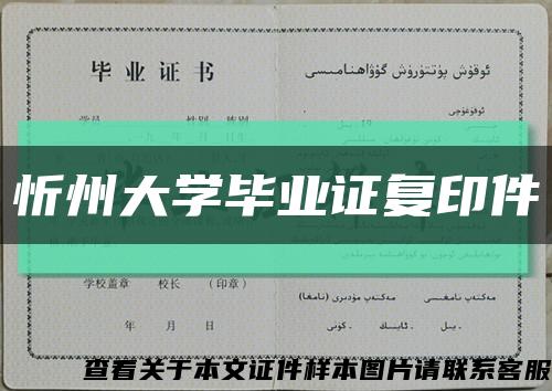 忻州大学毕业证复印件缩略图