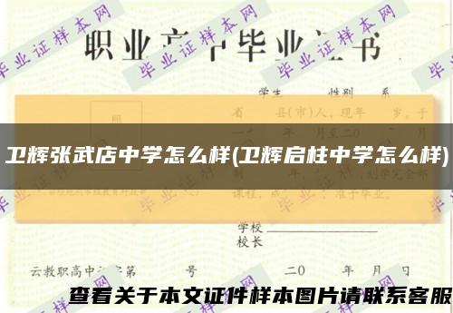 卫辉张武店中学怎么样(卫辉启柱中学怎么样)缩略图