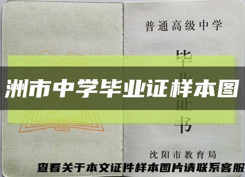 洲市中学毕业证样本图缩略图