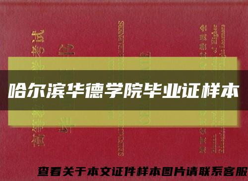哈尔滨华德学院毕业证样本缩略图