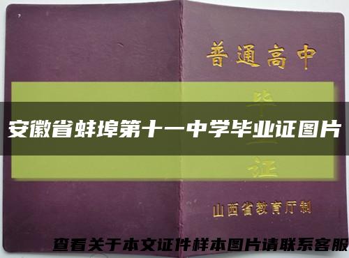 安徽省蚌埠第十一中学毕业证图片缩略图