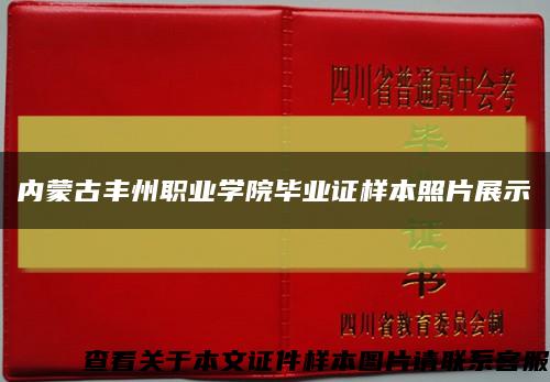 内蒙古丰州职业学院毕业证样本照片展示缩略图