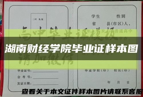 湖南财经学院毕业证样本图缩略图