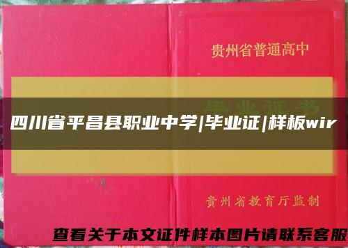 四川省平昌县职业中学|毕业证|样板wir缩略图