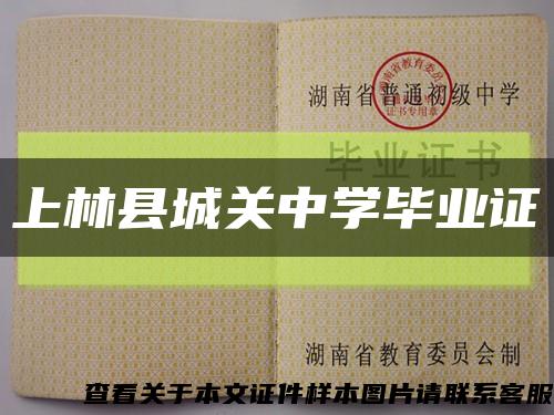上林县城关中学毕业证缩略图