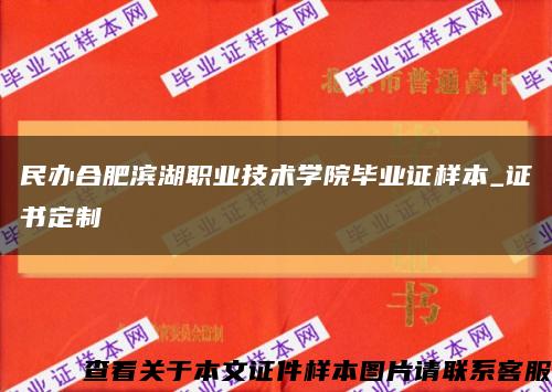 民办合肥滨湖职业技术学院毕业证样本_证书定制缩略图