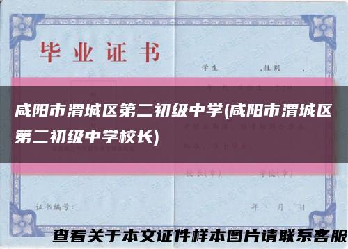 咸阳市渭城区第二初级中学(咸阳市渭城区第二初级中学校长)缩略图