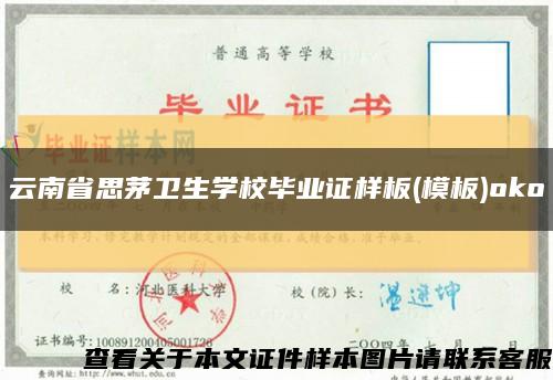 云南省思茅卫生学校毕业证样板(模板)oko缩略图
