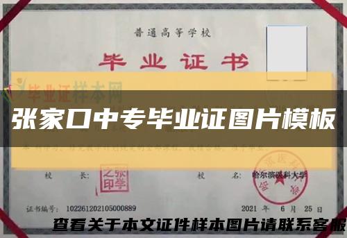 张家口中专毕业证图片模板缩略图