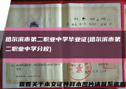 哈尔滨市第二职业中学毕业证(哈尔滨市第二职业中学分校)缩略图