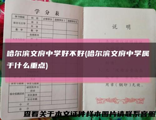哈尔滨文府中学好不好(哈尔滨文府中学属于什么重点)缩略图