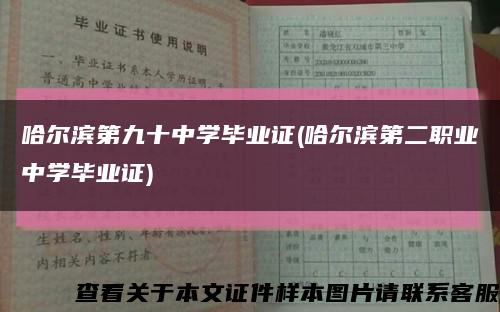 哈尔滨第九十中学毕业证(哈尔滨第二职业中学毕业证)缩略图