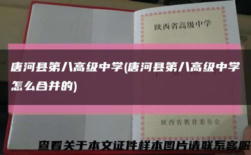 唐河县第八高级中学(唐河县第八高级中学怎么合并的)缩略图
