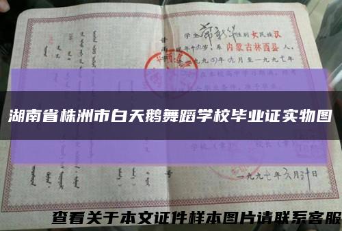 湖南省株洲市白天鹅舞蹈学校毕业证实物图缩略图