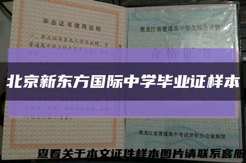 北京新东方国际中学毕业证样本缩略图