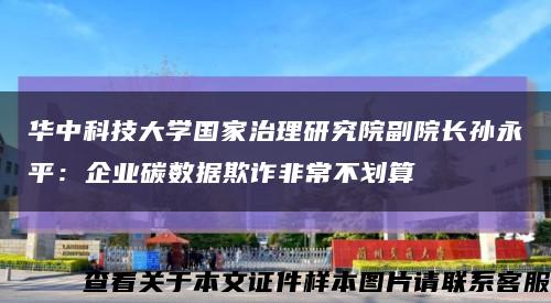 华中科技大学国家治理研究院副院长孙永平：企业碳数据欺诈非常不划算缩略图