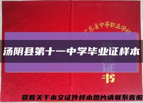 汤阴县第十一中学毕业证样本缩略图
