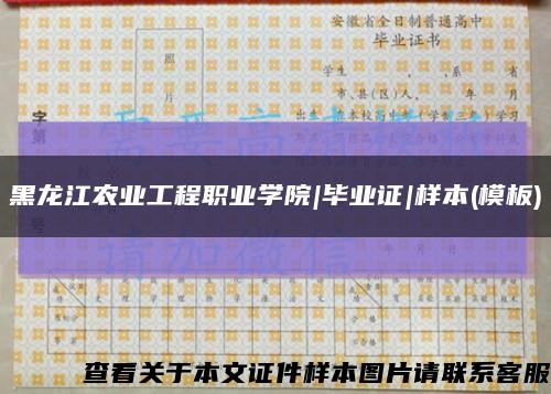 黑龙江农业工程职业学院|毕业证|样本(模板)缩略图