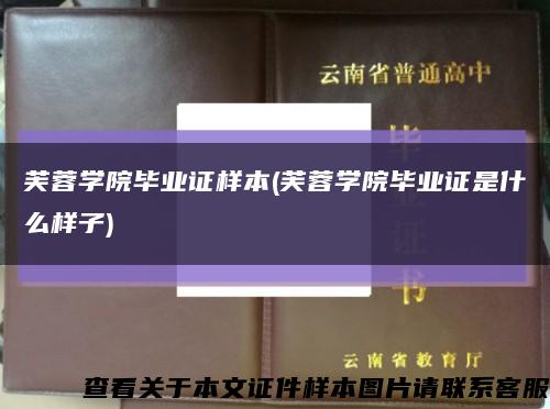 芙蓉学院毕业证样本(芙蓉学院毕业证是什么样子)缩略图