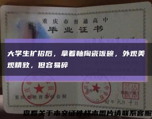 大学生扩招后，拿着釉陶瓷饭碗，外观美观精致，但容易碎缩略图