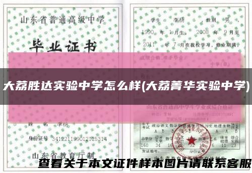 大荔胜达实验中学怎么样(大荔菁华实验中学)缩略图