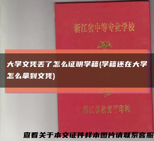 大学文凭丢了怎么证明学籍(学籍还在大学怎么拿到文凭)缩略图