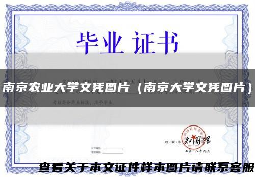 南京农业大学文凭图片（南京大学文凭图片）缩略图