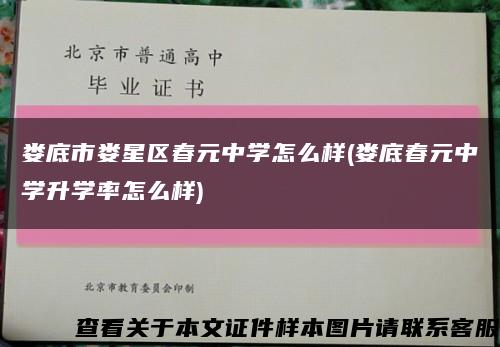娄底市娄星区春元中学怎么样(娄底春元中学升学率怎么样)缩略图