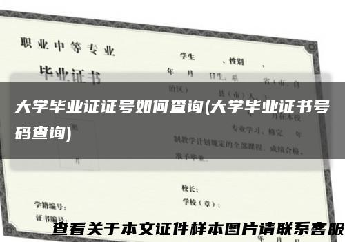 大学毕业证证号如何查询(大学毕业证书号码查询)缩略图