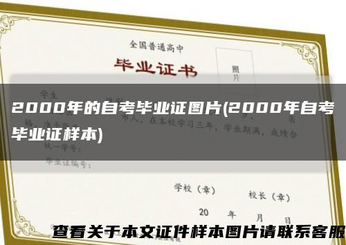 2000年的自考毕业证图片(2000年自考毕业证样本)缩略图