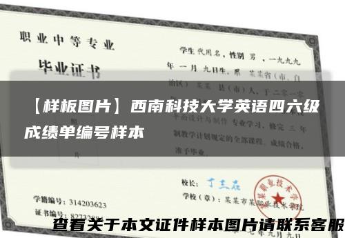 【样板图片】西南科技大学英语四六级成绩单编号样本缩略图