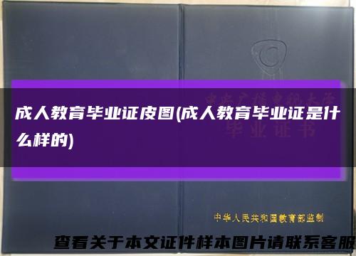 成人教育毕业证皮图(成人教育毕业证是什么样的)缩略图