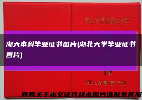 湖大本科毕业证书图片(湖北大学毕业证书图片)缩略图